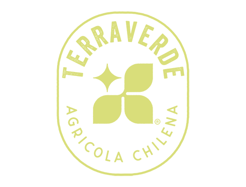 Terraverde